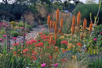 © Beth Chatto Gardens
