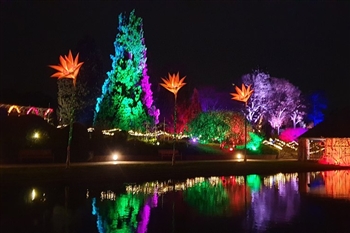 Wisley Glow © Christine Matthews GEOGRAPH